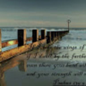 Meet your Posher, Ess